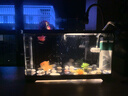 阔庭鱼缸懒人鱼缸家用客厅办公室金鱼缸过滤鱼缸黑色款 实拍图