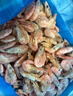 禧美海产 头籽北极甜虾2斤/盒 90/120 头籽率参考95%  爱沙尼亚甜虾 实拍图