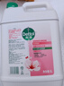 滴露（Dettol）洗手液补充装大桶消毒滋润5L 儿童家庭装杀菌护手 实拍图