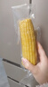 【东东农场专供】正宗头茬东北新鲜糯玉米软糯拉丝真空包装早餐 黄糯玉米2支*150g+ 实拍图