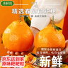京觅四川春见耙耙柑粑粑柑水果彩箱净重4.5斤单果180g+源头直发包邮 实拍图