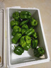 新鲜绿菜椒现摘山东圆椒青椒太空甜椒蔬菜灯笼椒生吃蔬菜沙拉 新鲜圆椒净重2.7斤 实拍图