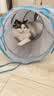 卫仕（NOURSE）猫咪全价主食爆爆酱湿粮营养餐包盒全阶段成幼猫补水罐头猫条零食 40g*7包/盒【买1盒送1盒】 全阶段 实拍图