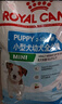 皇家狗粮幼犬奶糕幼犬狗粮宠物小型犬MIS30全价犬粮 ≤2月10KG 实拍图