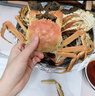 【活蟹】湖鲜阳澄大闸蟹公4.2-4.5两 母3.0-3.3两4对8只春节送礼螃蟹礼盒装源头直发 实拍图