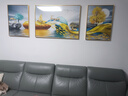 Sixpoetry 客厅装饰画现代简约沙发背景墙壁画轻奢三联晶瓷画大气高档挂画 福禄双收（铝合金外框） 晶瓷画左右50*70+中间100*70亮面 实拍图