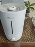 小熊（Bear）加湿器家用卧室 空气加湿母婴幼儿 办公室桌面小型加湿机JSQ-Z50G2 实拍图