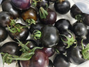 京鲜生 山东寿光黑珍珠小番茄净重2.8斤装 新鲜蔬菜紫色圣女果 源头直发 实拍图