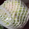 圆白菜约1.5kg（绿甘蓝） 实拍图