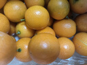 京鲜生 云南油皮金桔/金橘 净重2斤 单果12g起 生鲜水果 实拍图