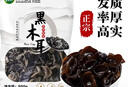 双塔东北黑木耳500g肉厚无根干木耳东北特产小碗耳火锅食材南北干货 实拍图