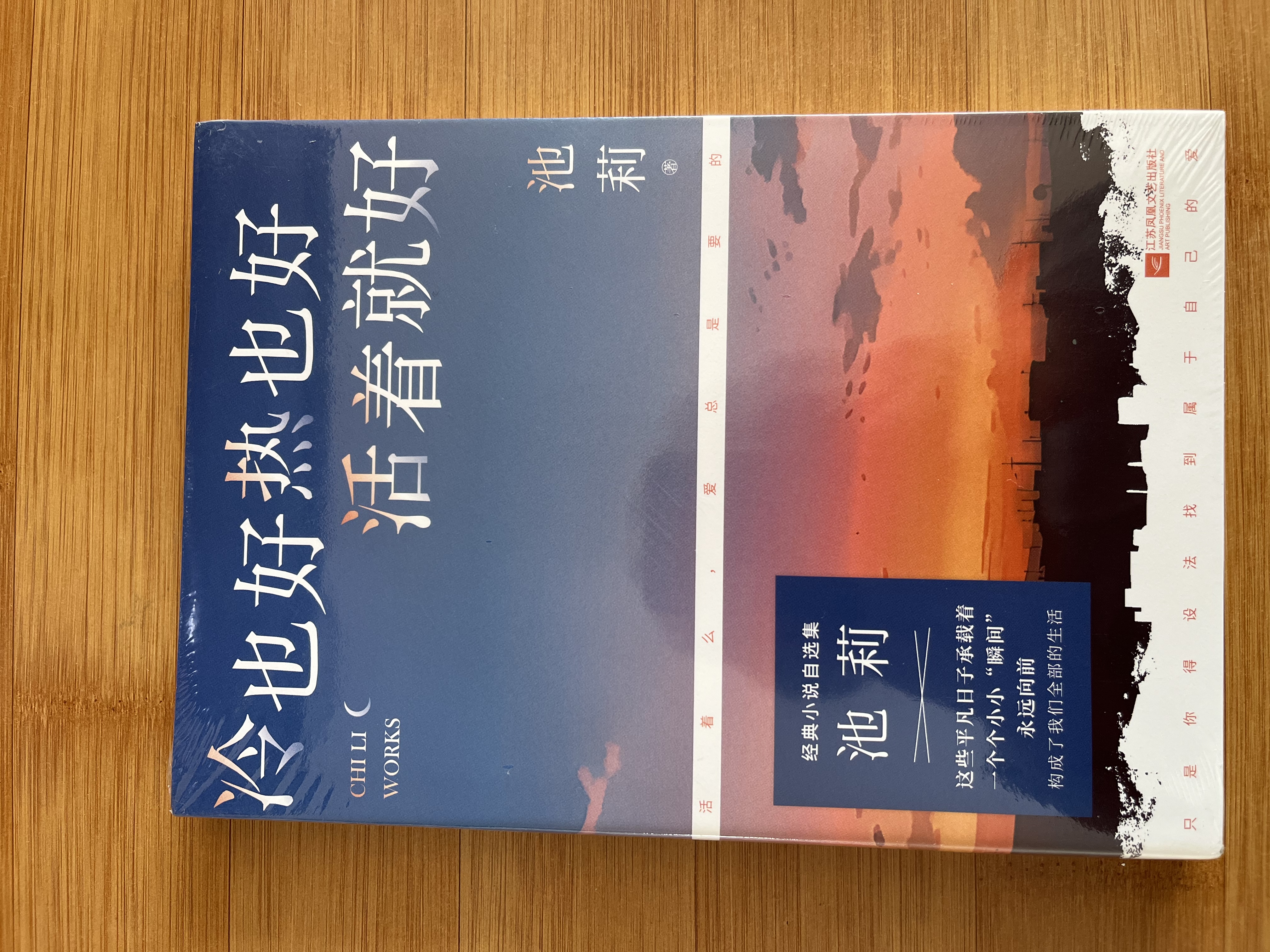 冷也好热也好活着就好（池莉作品系列） 晒单实拍图