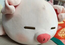 名创优品（MINISO）小猪B-BO弹力超柔趴姿毛绒公仔玩偶抱靠枕玩具情人节礼物新年礼物 实拍图