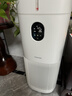 东芝（TOSHIBA）加湿器空气净化器无雾加湿净化一体机除醛除菌除敏母婴家用防干燥家用消毒杀菌大白梨Pro 实拍图