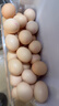 京鲜生可生食标准鲜鸡蛋30枚礼盒装3斤 源头直发 实拍图