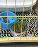 酷奇宠猫笼 大号猫笼子带厕所猫别墅猫窝成猫幼猫猫舍猫屋宠物笼子用品 黄色 中双层 70.5*54.5*76cm 实拍图