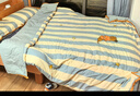 水星家纺被子澳洲羊毛羊毛玉米春秋被秋冬被子被芯约5斤200*230cm 实拍图