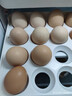 散养农家土鸡蛋单枚40g正负5g 溏心蛋早餐新鲜鸡蛋京东包邮买菜 10枚土鸡蛋 实拍图