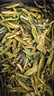 西湖景狮峰山茶叶西湖龙井绿茶新茶杭州明前特级年货自饮自己喝250g 实拍图
