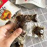 牛浪汉灯影牛肉丝五香味250g休闲解馋追剧下酒露营零食四川特产 实拍图