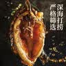 卉芋奢华山海豪礼海产菌菇礼品 鲍鱼羊肚菌中秋礼盒高端送人送长辈 实拍图