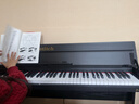 海蒂诗 电钢琴88键重锤电子钢琴儿童初学幼师专业成人家用数码立式钢琴 P-310木纹黑-蓝牙-重力度-配琴凳 实拍图