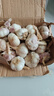 【东东农场专供】2025年新鲜七成干大蒜头 【东东农场专供】七成干大蒜头2斤含箱 实拍图