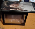 桌面鱼缸小型家用积木缸生态缸水族箱斗鱼缸带小夜灯氛围灯摆件 黑色斗鱼缸【不带灯】 实拍图