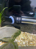 创星鱼缸加热棒电加热器自动恒温水族箱小型乌龟缸加温棒HCH 【自动恒温】适45-100L内蓝头HCH-200W 实拍图