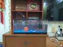 阔庭（KUOTING）鱼缸水族箱生态桌面鱼缸新款懒人鱼缸过滤制氧一体机黑色【大号】 实拍图