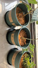 墨斗鱼花盆加仑盆加厚高款2加仑*3多肉绿萝月季盆栽树脂塑料简约带托盘 实拍图