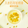 福东海 洋甘菊100克【新鲜晾晒】菊茶茶花草茶搭野菊花干花原料泡水喝 实拍图