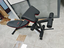 力动（RIDO）多功能哑铃凳卧推凳家用健身器材健身椅飞鸟凳TD50 实拍图