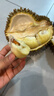 京鲜生 泰国金枕头榴莲 3-4斤 1个装  年货 新鲜水果 源头直发包邮  实拍图