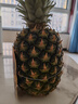 佳农 黑钻菠萝1粒装 菲律宾凤梨 净重2斤起 生鲜水果 源头直发 包邮 实拍图