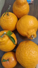 生活＆好管家 四川春见耙耙柑新鲜水果应季橘子现摘孕妇水果整箱桔子橘子 优选级市场果 8.5-9斤【单果80-90mm】净重8斤 实拍图