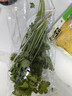 带根香菜100g 实拍图