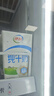 伊利纯牛奶 250ml*16盒 全脂牛奶 年货礼盒装 10月底产 实拍图