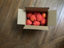 京鲜生 四川爱媛38号果冻橙 净重5斤 单果150g起 生鲜柑橘桔子水果礼盒 实拍图