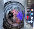 志高（CHIGO）全自动洗衣机 波轮宿舍迷你小型家用 洗烘一体 智能洗脱一体机 大容量 风干 7.5Kg主销款-升级加厚-智能风干强动力电机 波轮 实拍图