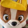 汪汪队立大功（PAW PATROL）汪汪队玩具毛绒全套狗狗玩偶公仔男女孩玩具旺旺队儿童生日礼物 站姿款-小砾公仔 中号-坐或站高约17~22.9CM 实拍图