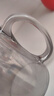 格娜斯（CRISTALGLASS）玻璃杯耐高温水杯家用套装客厅待客泡茶杯带把喝水杯子轻奢凉水壶 实拍图