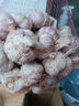 京鲜生河南杞县大蒜带皮干蒜净重5斤单果5.5-6cm 源头直发包邮 实拍图