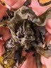 富昌 淡干海带结100g 干海带 海产煲汤炖菜 火锅 凉拌食材 实拍图