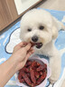 HELLOJOY宠物狗狗零食火腿肠泰迪金毛幼犬成犬训练奖励 牛肉香肠360g 实拍图