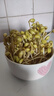 发芽黄豆 生豆芽专用小黄豆家庭水培蔬菜发芽率高豆苗菜 发芽黄豆【2斤】 实拍图