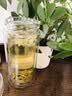 五云村茉莉花茶特级绿茶茶叶2026新茶浓香500g横县飘雪自己喝 实拍图