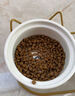 皇家宠物猫粮 幼猫猫粮K36-适用于12月龄50g*3 实拍图