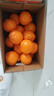 京觅浙江临海涌泉蜜桔 净重4.5-5斤 单果60mm+ 橘子水果礼盒 源头直发 实拍图