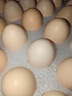 京鲜生 无抗保洁鲜鸡蛋30枚/盒 健康轻食 礼盒送礼 1.5kg/盒 源头直发 实拍图